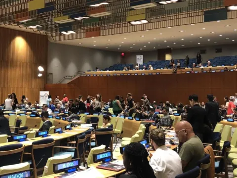 UN Interactive Hearing HLM/NCDs July 2018 