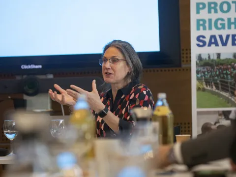 alison cos ncda advocacy director talking at an event in geneva