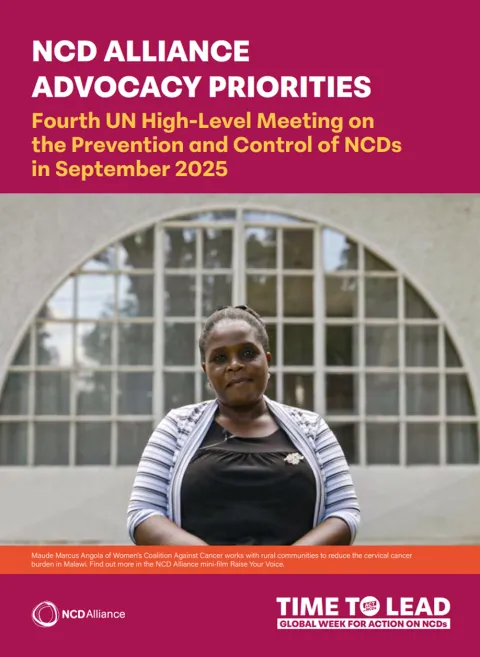 2025 UN HLM ON NCDS POLICY BRIEF COVER