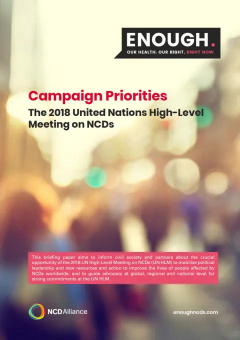 ncd high level meeting priorities for 2018