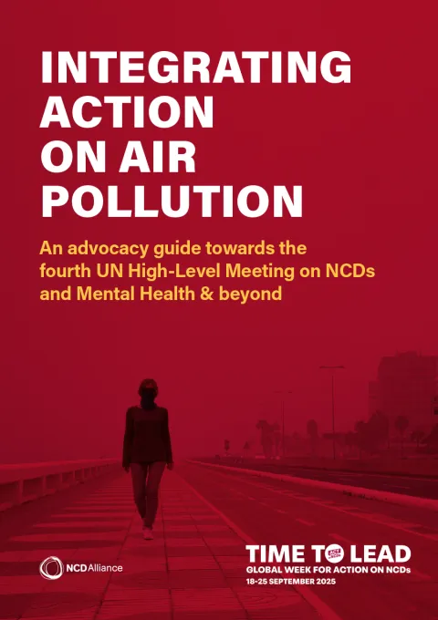 Air Pollution Brief Cover