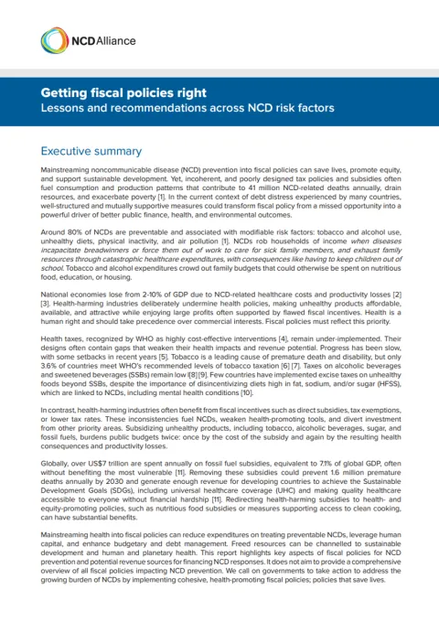 fiscal policies executive summary report cover