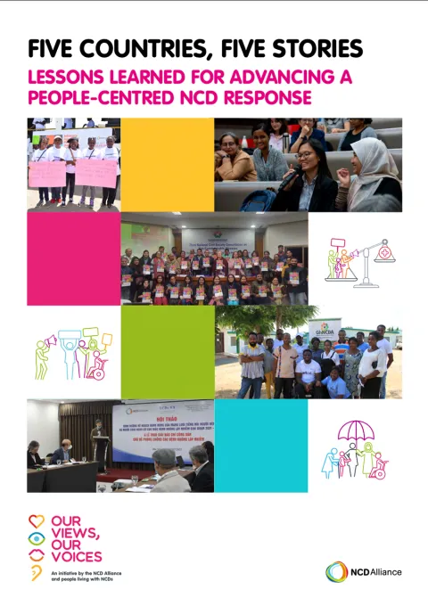 five_countries_five_stories_policy_brief