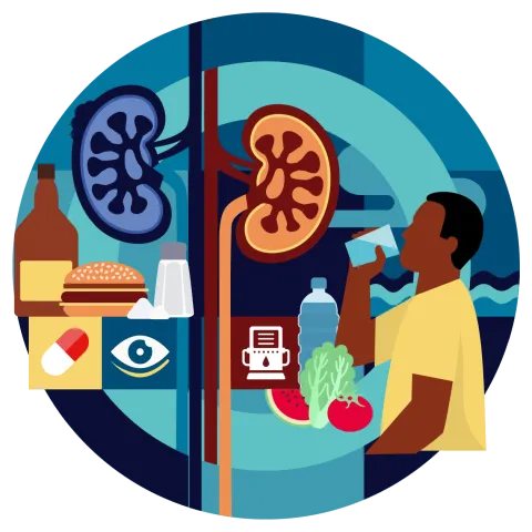 chronic kidney disease illustration