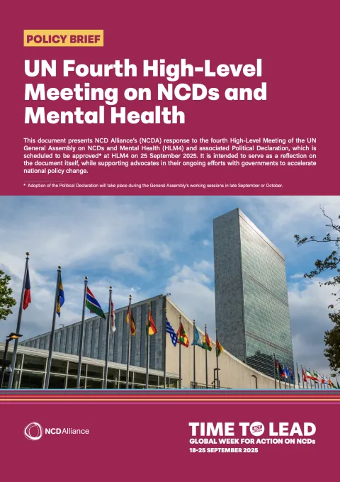 HLM4 policy brief 10 Sept 2025 cover