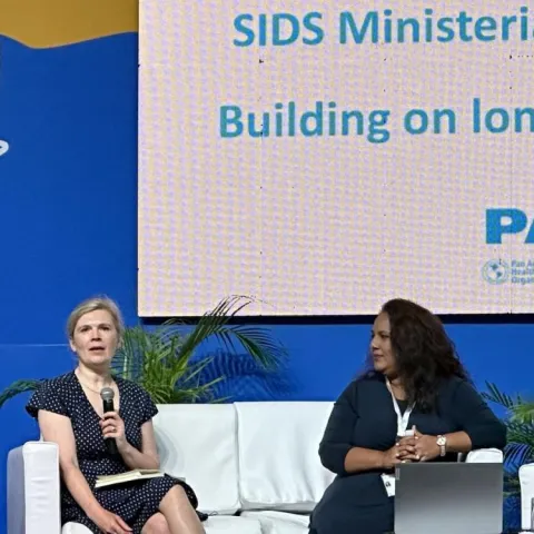 Panellist speaking on stage at NCD advocacy event on SIDS