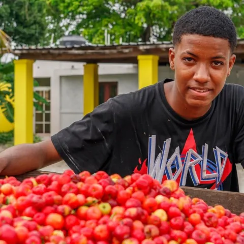 A young boy sells cherries from his garden in Dominican Republic